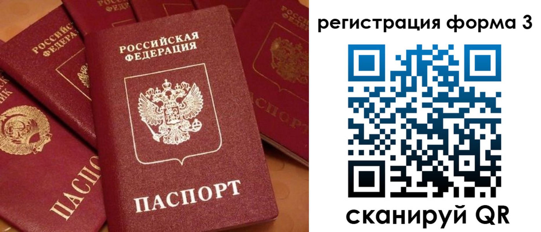 прописка для школы в Братске